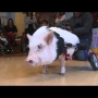 Chris P. Bacon The Pig Helps Sick Kids