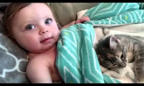 Beautiful Baby Girl And Kitten Waking Up