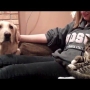 Dog Meets Kitten