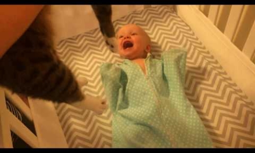 Baby Goes Crazy When She Sees Cat