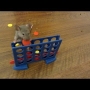 Super Smart Mice are Trained to do Amazing Tricks